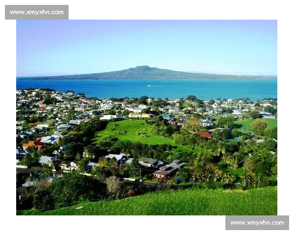 日本对新西兰巅峰对决赛前前景预测深度全方位解析展望趋势研判洞察