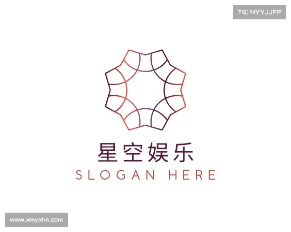 关于星空娱乐
